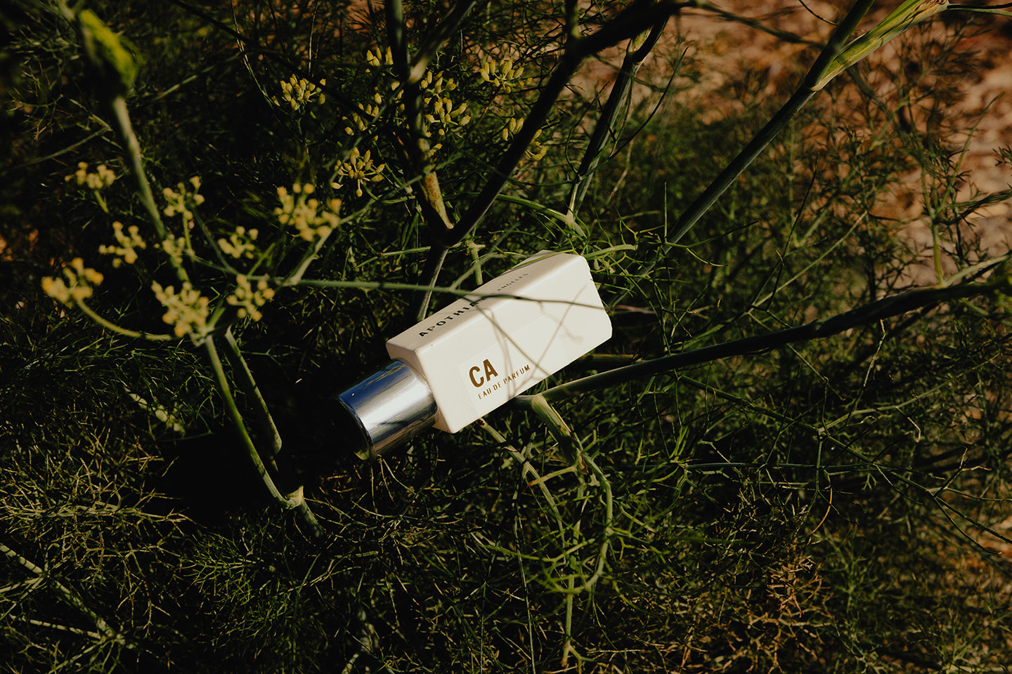 Apothia Velvet Rope Eau de Parfum