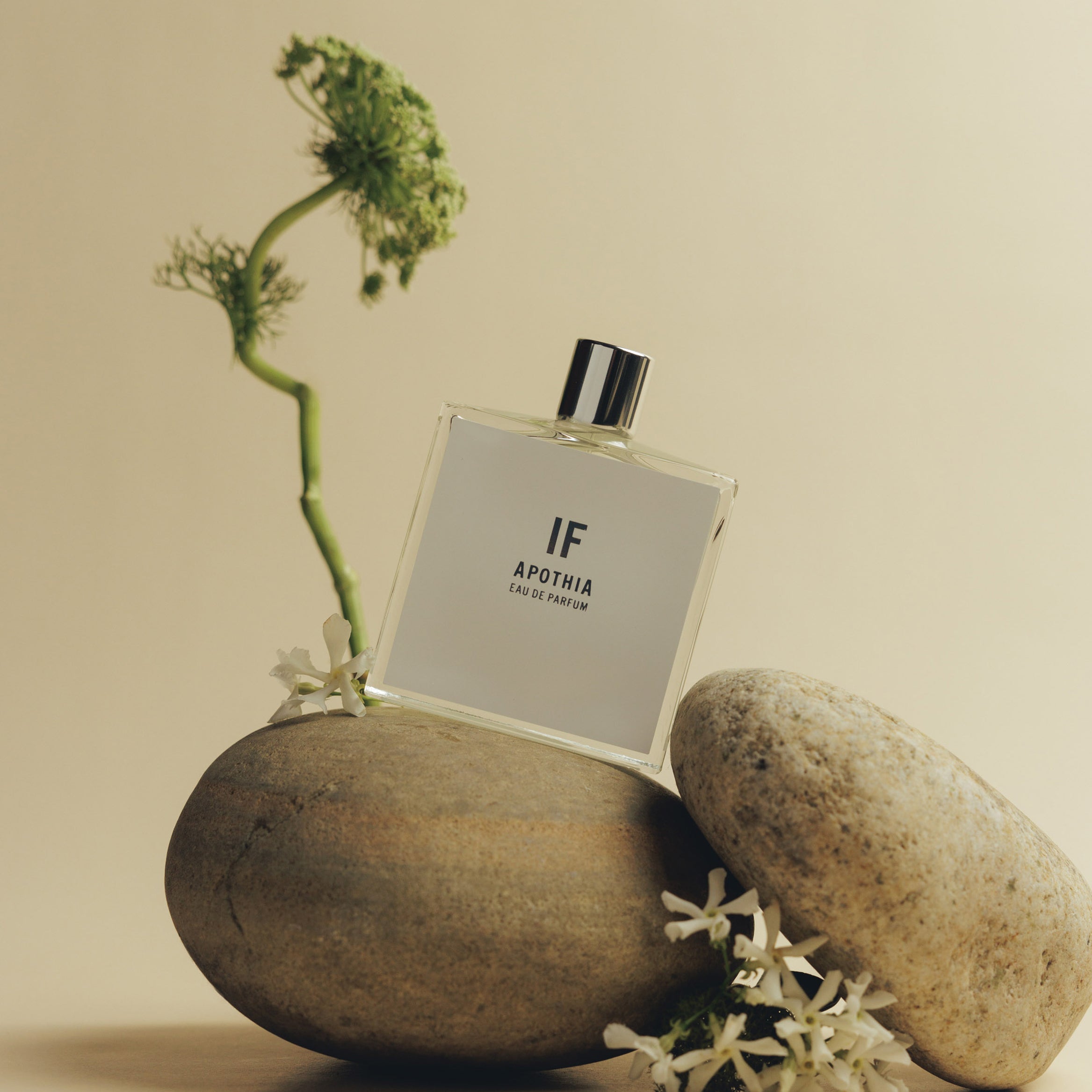 High-Quality Premium Perfumes | Elegant Fragrances for All – Apothia