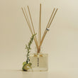 IF Mini Diffuser