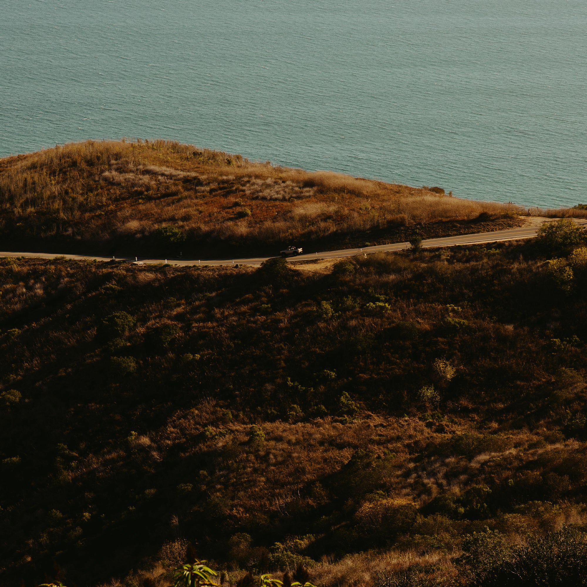 CALIFORNIA Candle – Apothia