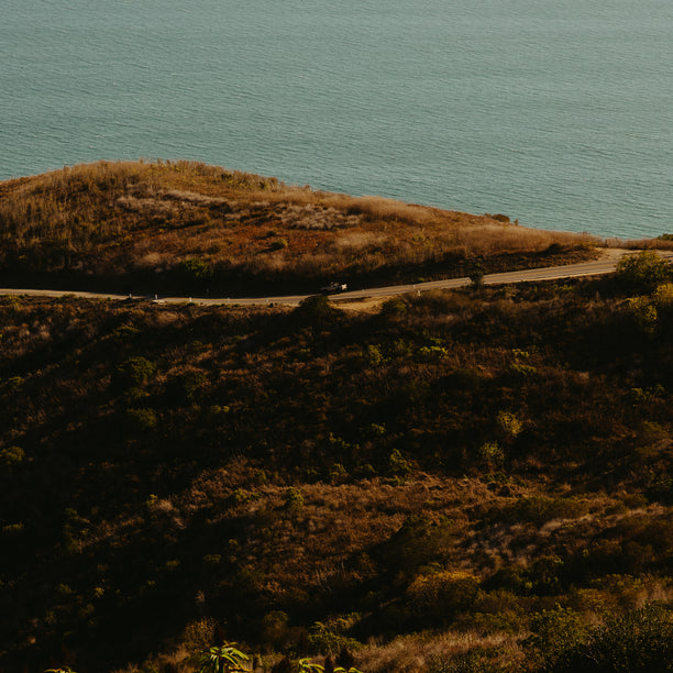 CALIFORNIA Eau De Parfum