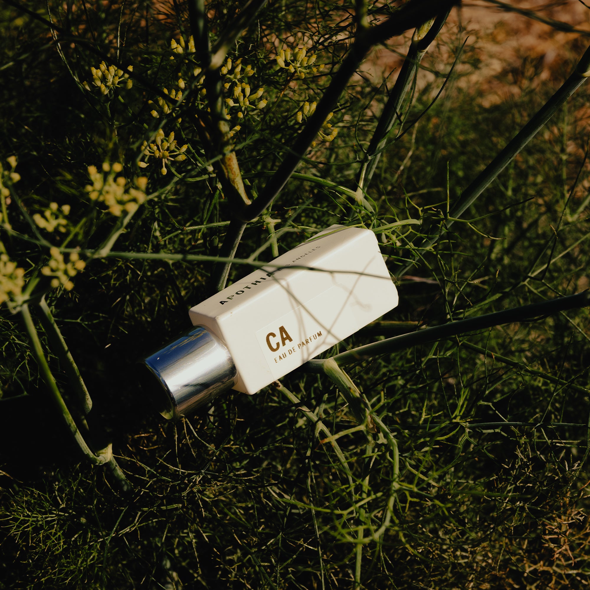 Order Now -THE CALIFORNIA | Eau de Parfum – Apothia