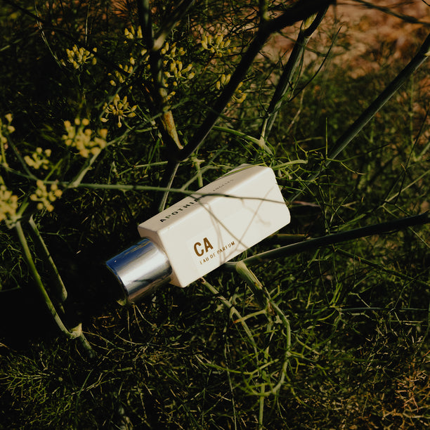 CALIFORNIA Travel Parfum