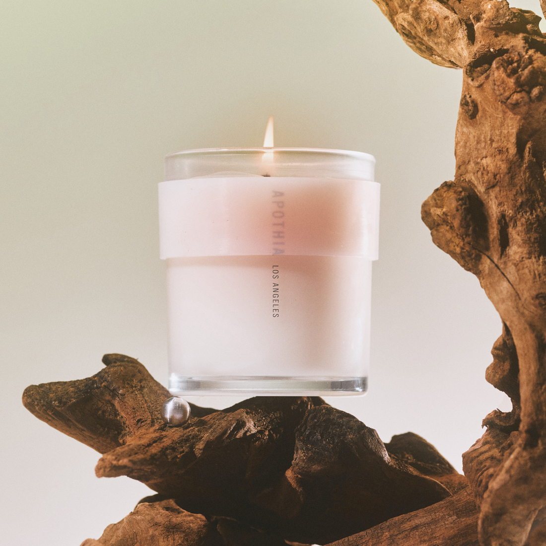 IF | Blooming White Flowers x Citrus | Candle