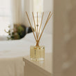 CASA Diffuser
