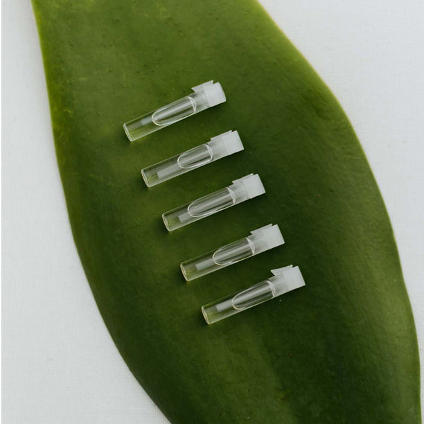 Perfume Oil Discovery Set