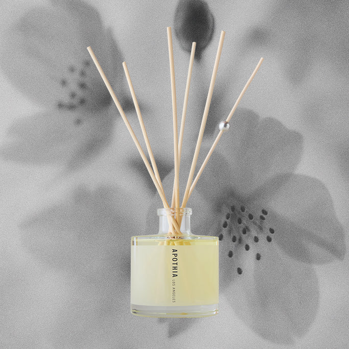 IF | Blooming White Flowers x Citrus | Diffuser
