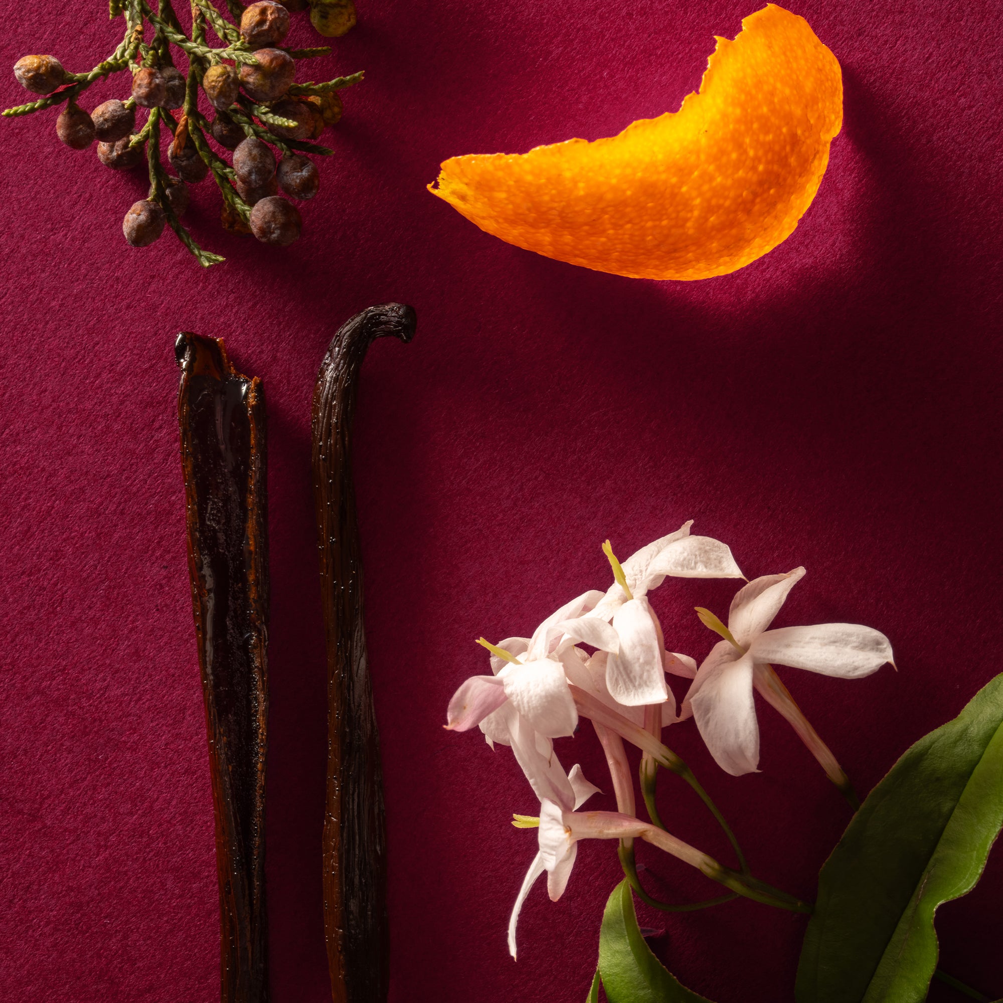 Apothia Velvet Rope Eau de Parfum