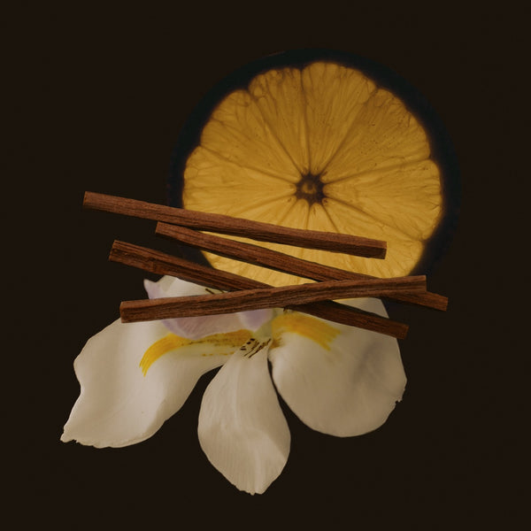 SOUL Perfume Oil + Travel Perfume